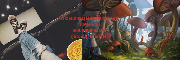 тгк Новозыбков