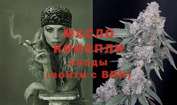 тгк Новозыбков