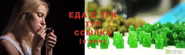 тгк Новозыбков