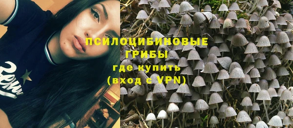 2c-b Новокубанск