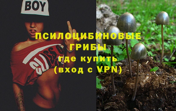 2c-b Новокубанск