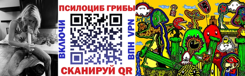Псилоцибиновые грибы MAGIC MUSHROOMS  что такое   Калининец 